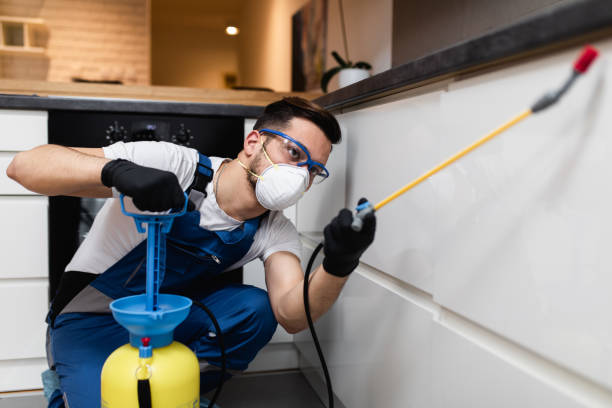 Best Pest Prevention Services  in Ross, OH