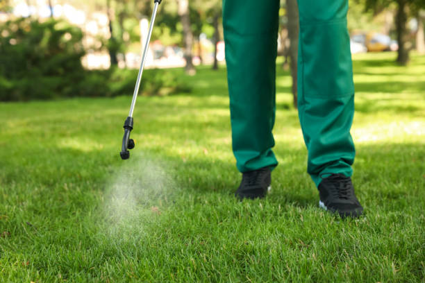 Best Cockroach Control Services  in Ross, OH