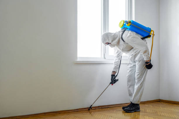 Best Exterminator Services  in Ross, OH