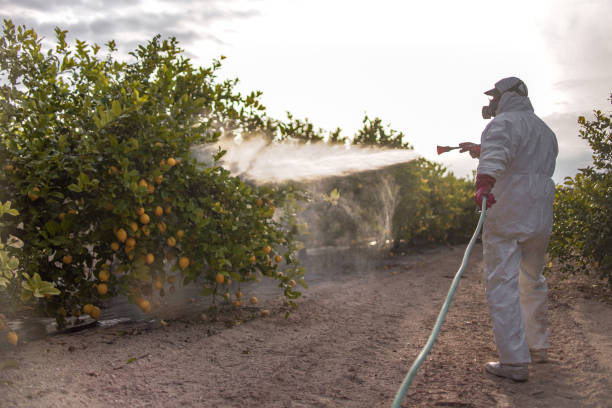 Best Best Pest Control Companies  in Ross, OH
