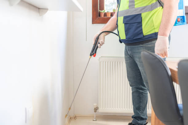 Best Termite Control Services  in Ross, OH