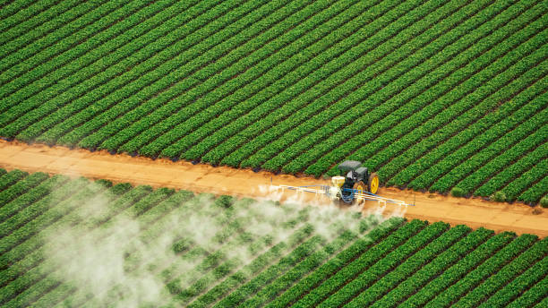 Best Ant Control Services  in Ross, OH
