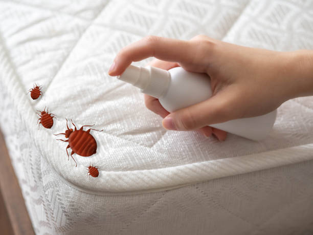Best Emergency Pest Control  in Ross, OH