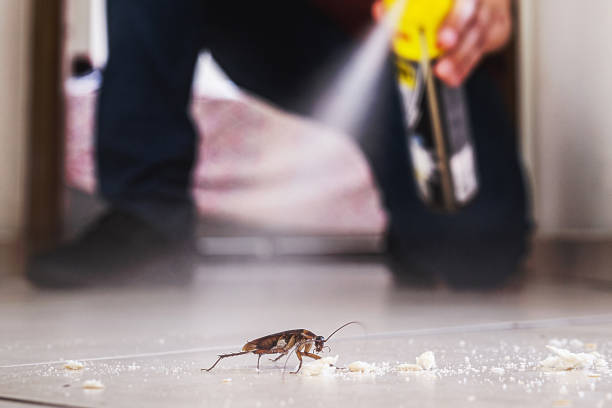 Best Wildlife Control Services  in Ross, OH