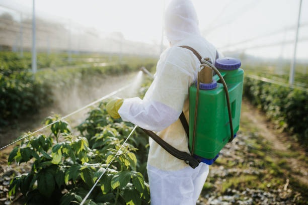 Best Commercial Pest Control Services  in Ross, OH